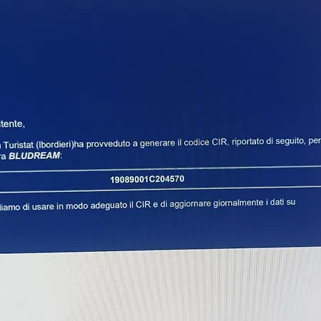 Bludream