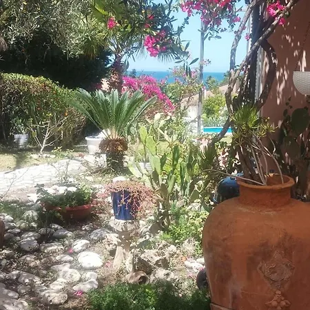 Bludream Augusta